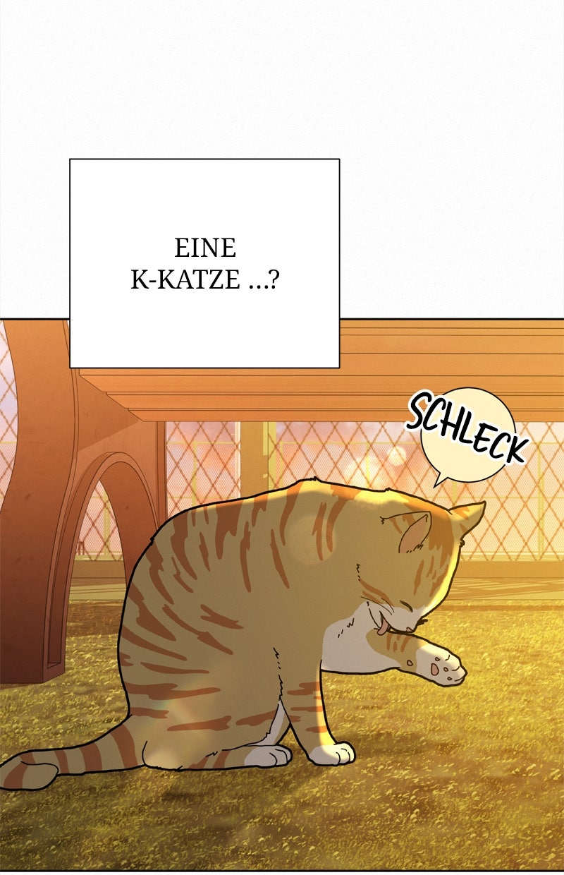 Read Operation - True Love Manga Online