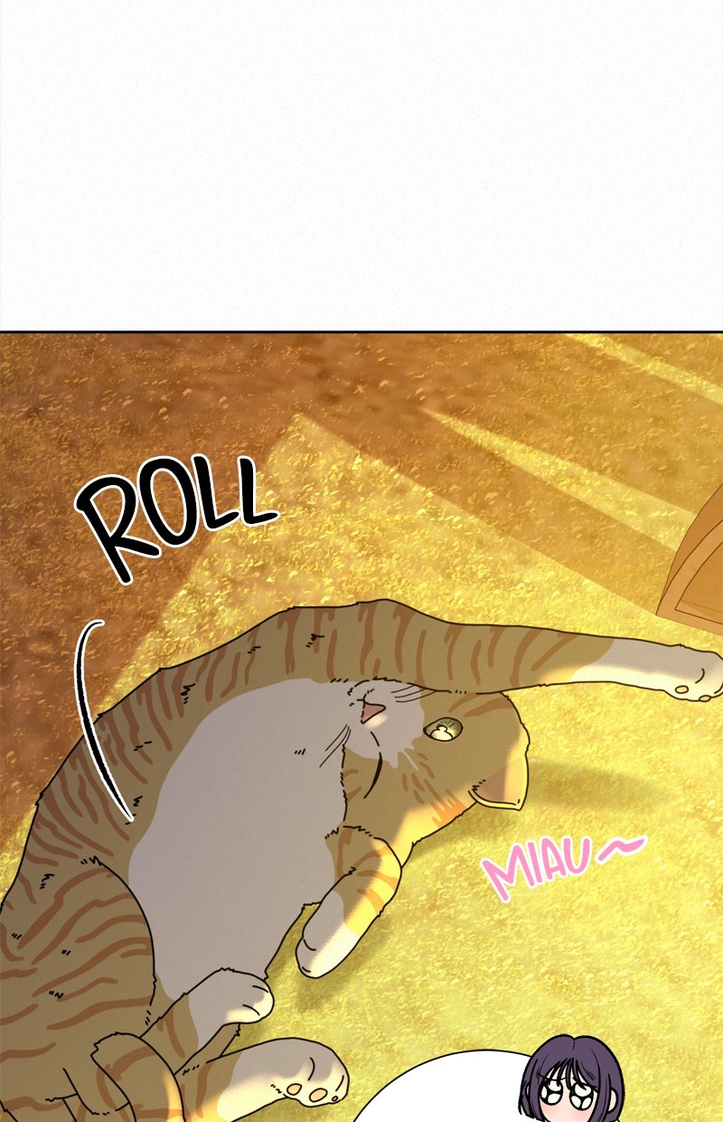 Read Operation - True Love Manga Online