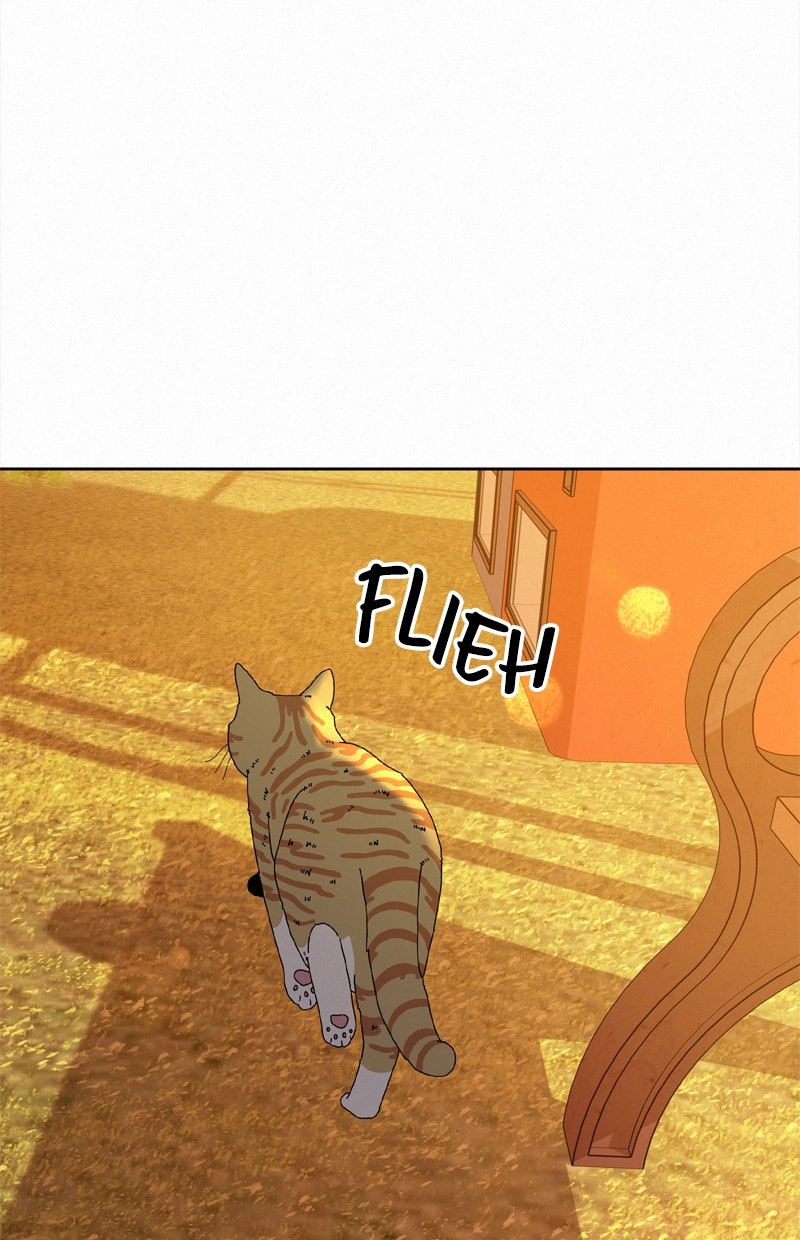 Read Operation - True Love Manga Online