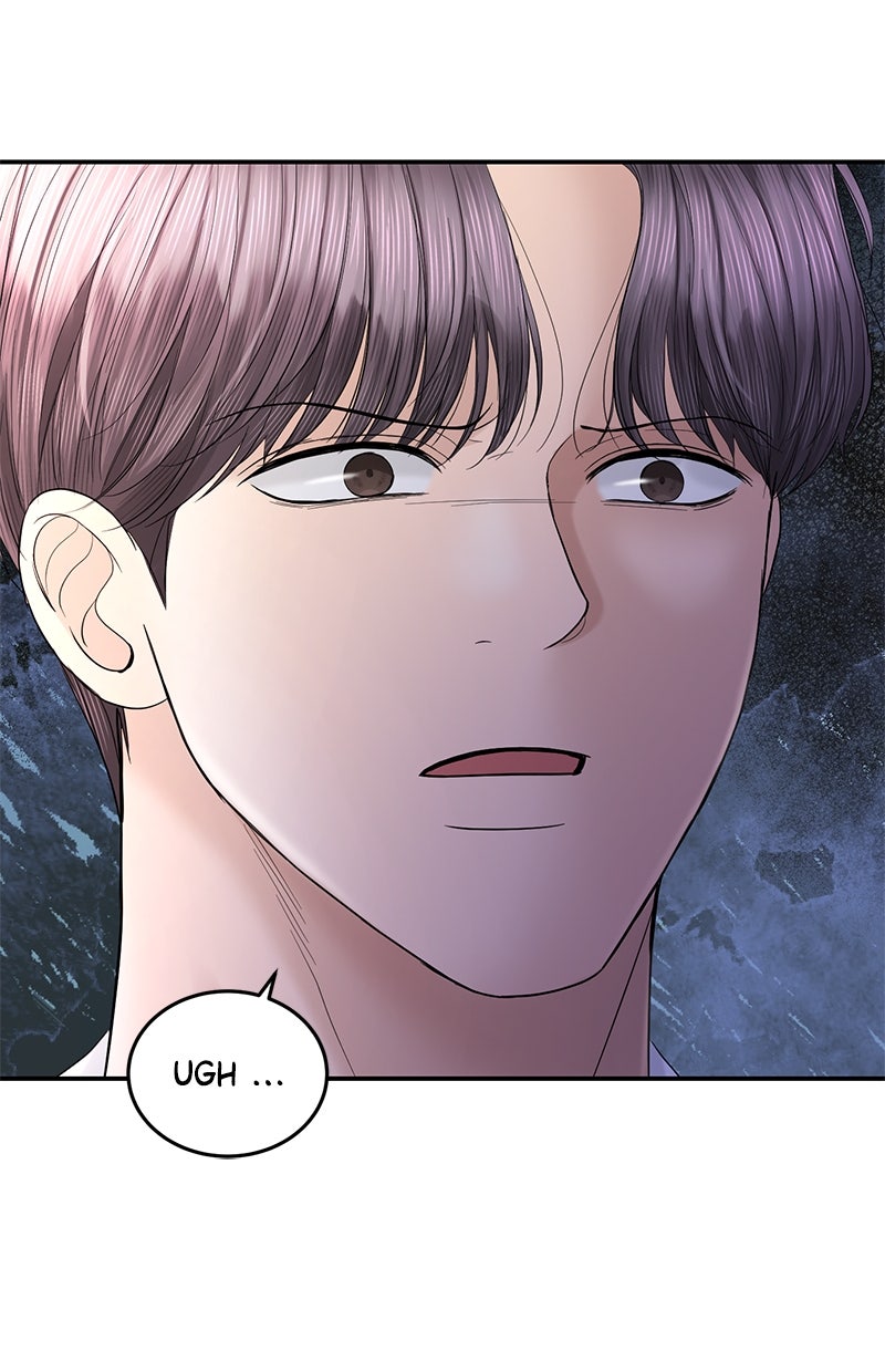 Read Perfect Marriage Revenge Manga Online