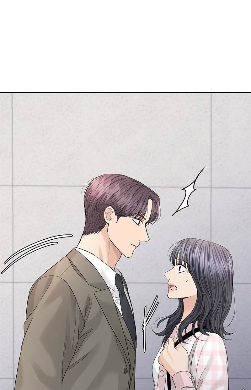 Read Perfect Marriage Revenge Manga Online