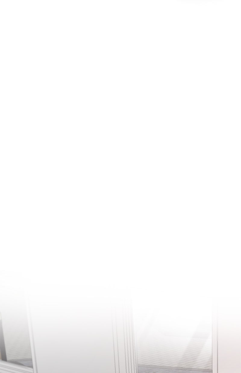 Read Perfect Marriage Revenge Manga Online