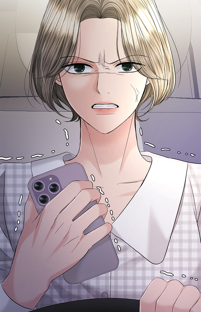 Read Perfect Marriage Revenge Manga Online