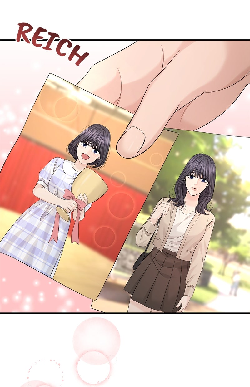 Read Perfect Marriage Revenge Manga Online