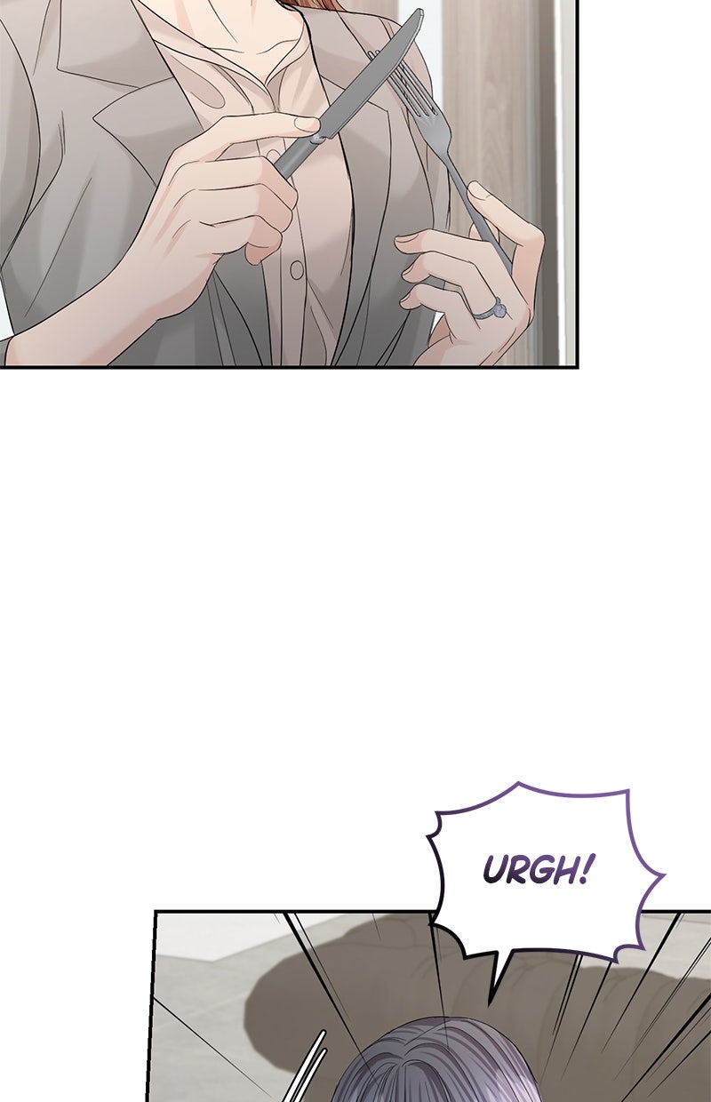 Read Perfect Marriage Revenge Manga Online