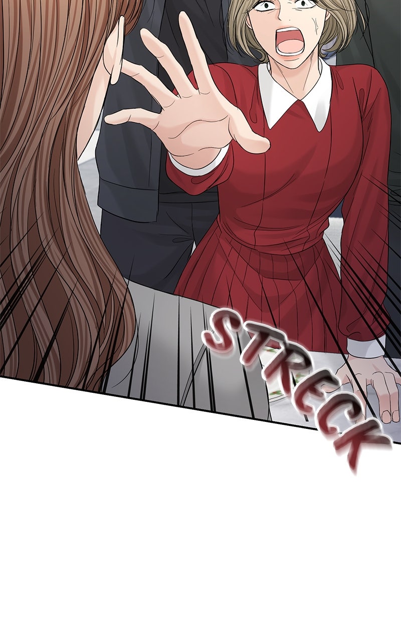 Read Perfect Marriage Revenge Manga Online