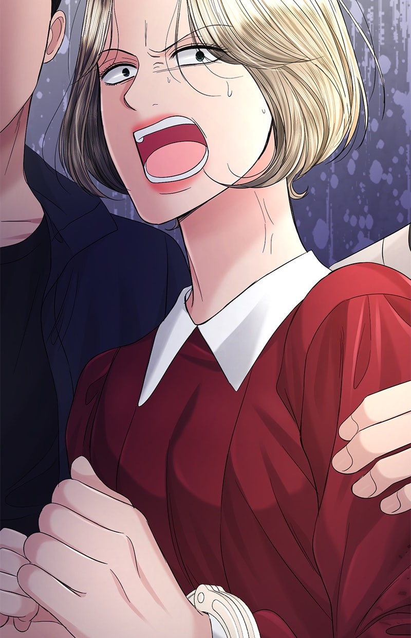 Read Perfect Marriage Revenge Manga Online