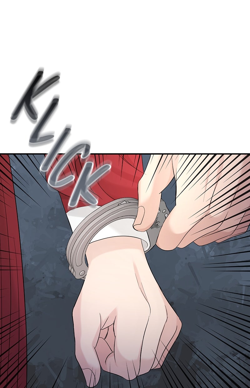 Read Perfect Marriage Revenge Manga Online