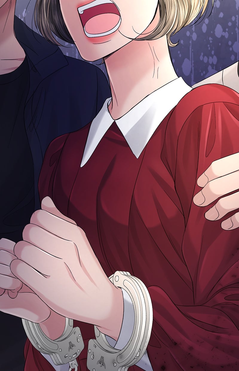 Read Perfect Marriage Revenge Manga Online