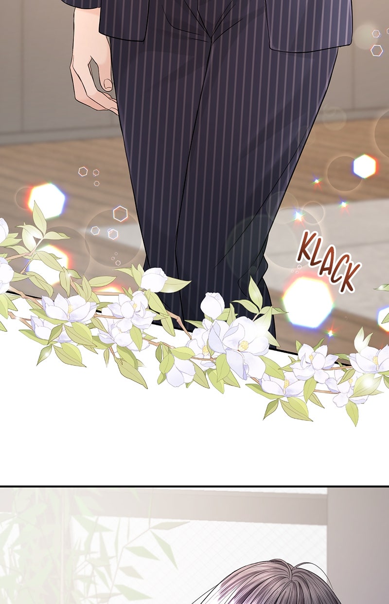 Read Perfect Marriage Revenge Manga Online