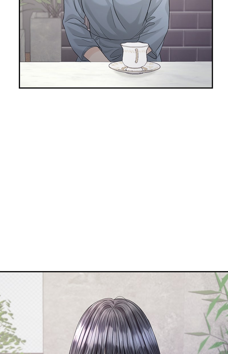 Read Perfect Marriage Revenge Manga Online