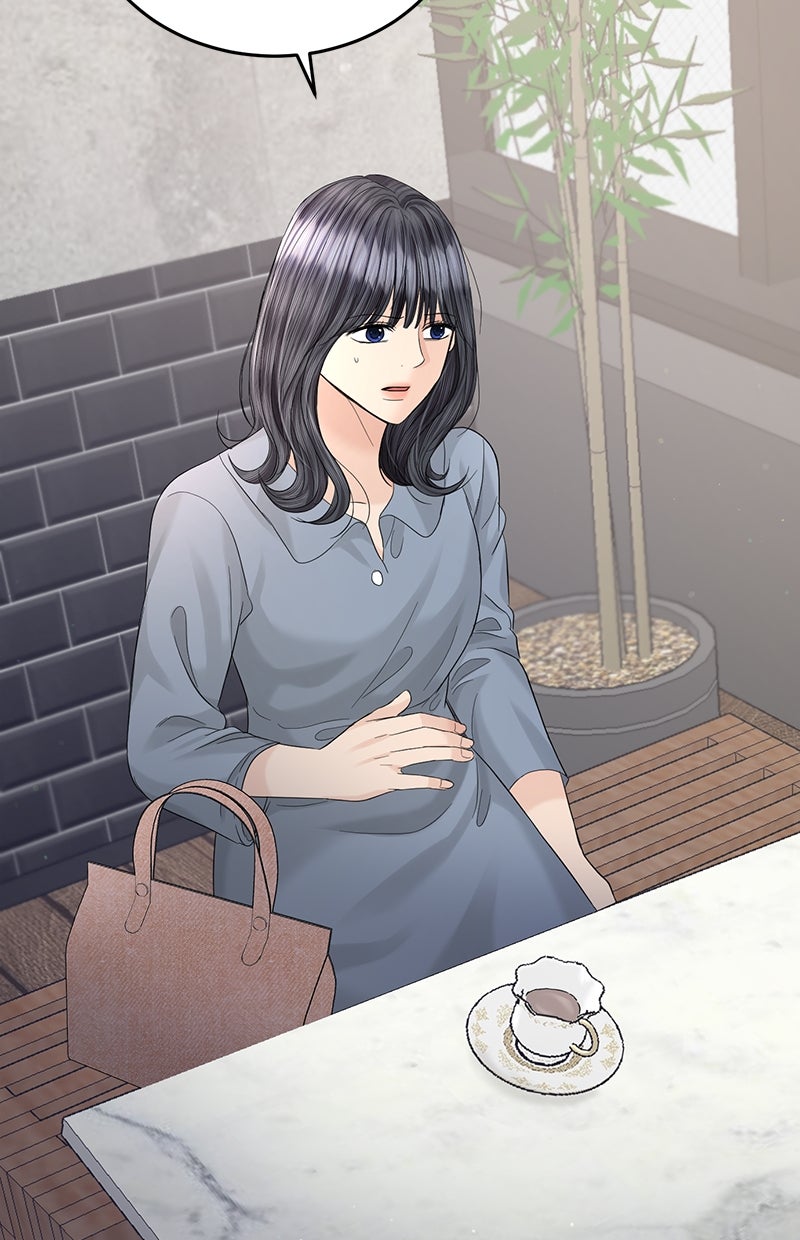 Read Perfect Marriage Revenge Manga Online