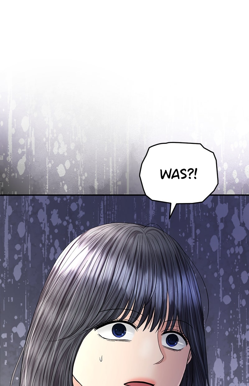 Read Perfect Marriage Revenge Manga Online