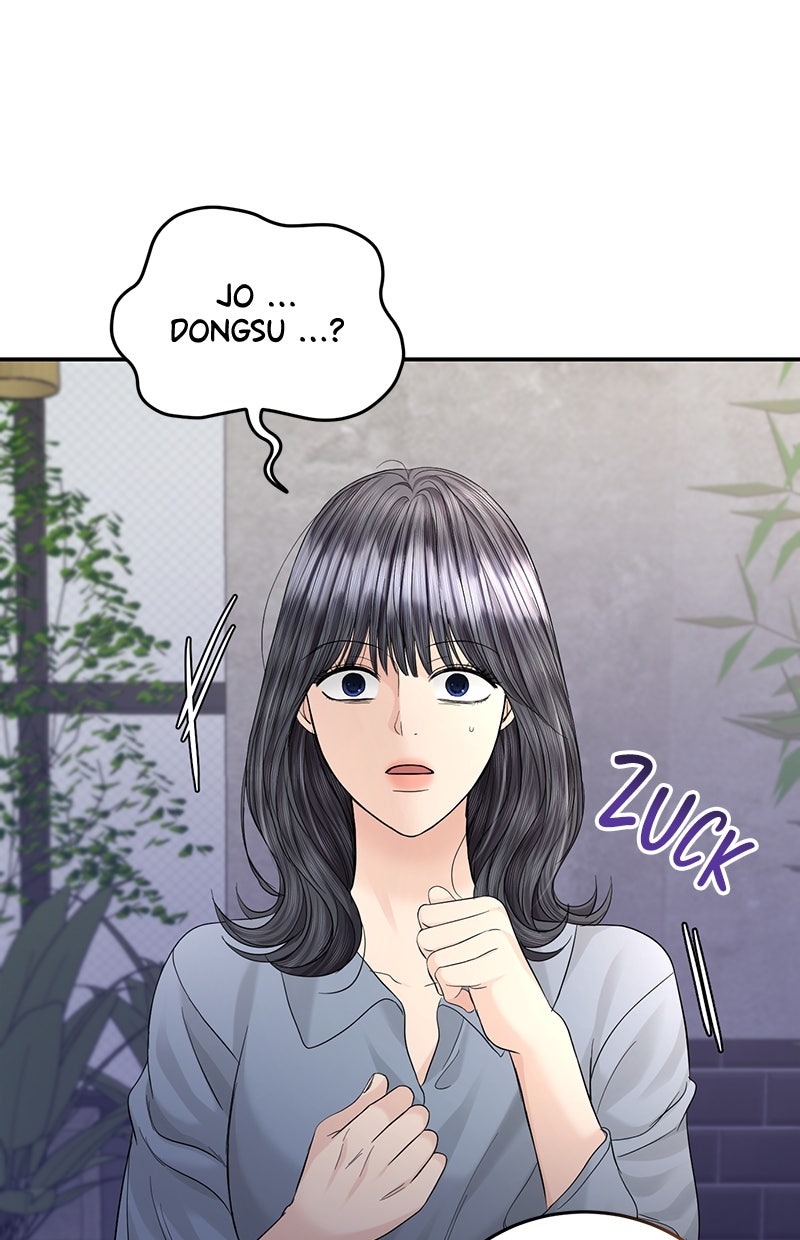 Read Perfect Marriage Revenge Manga Online