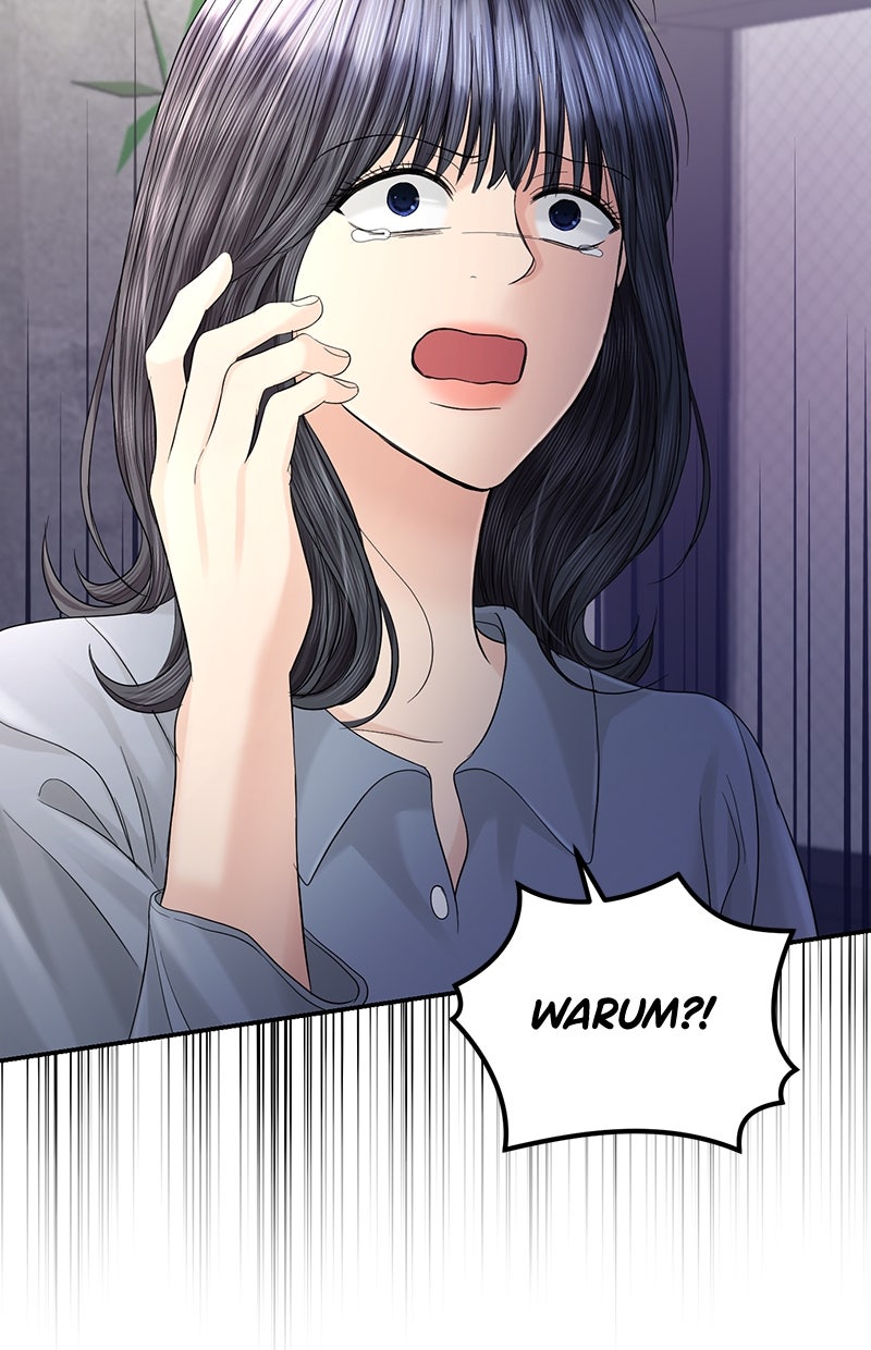 Read Perfect Marriage Revenge Manga Online