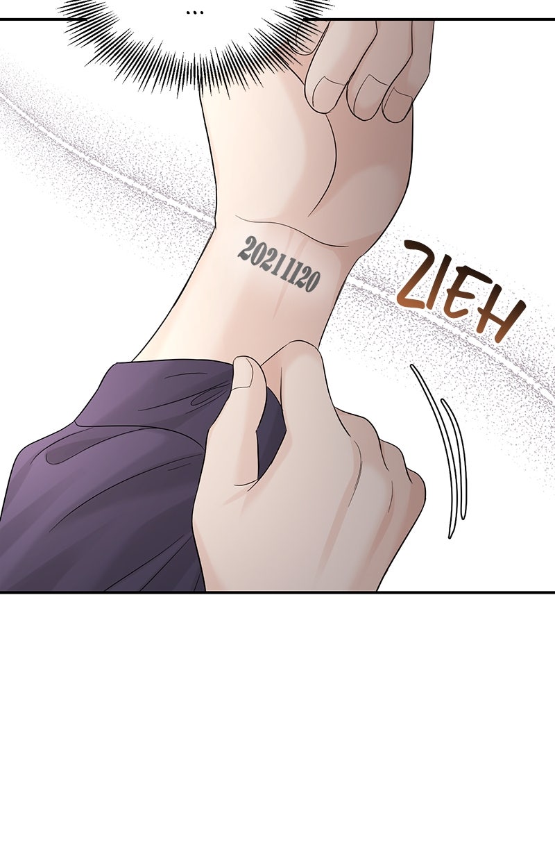 Read Perfect Marriage Revenge Manga Online