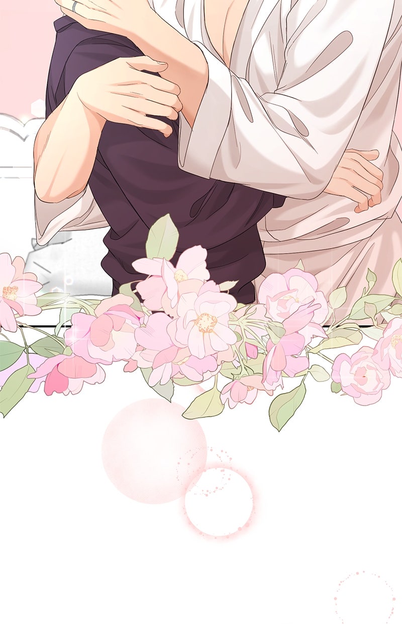 Read Perfect Marriage Revenge Manga Online