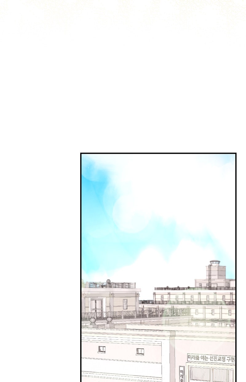 Read Perfect Marriage Revenge Manga Online