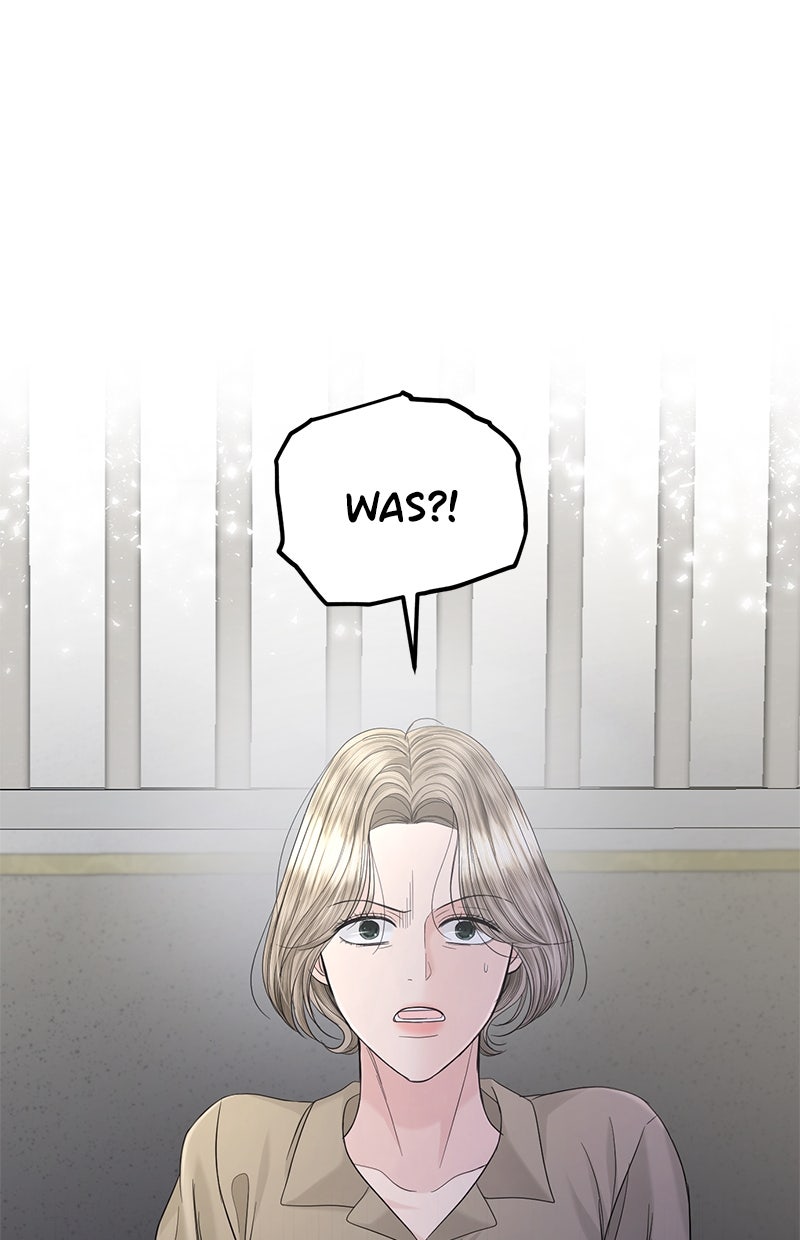 Read Perfect Marriage Revenge Manga Online