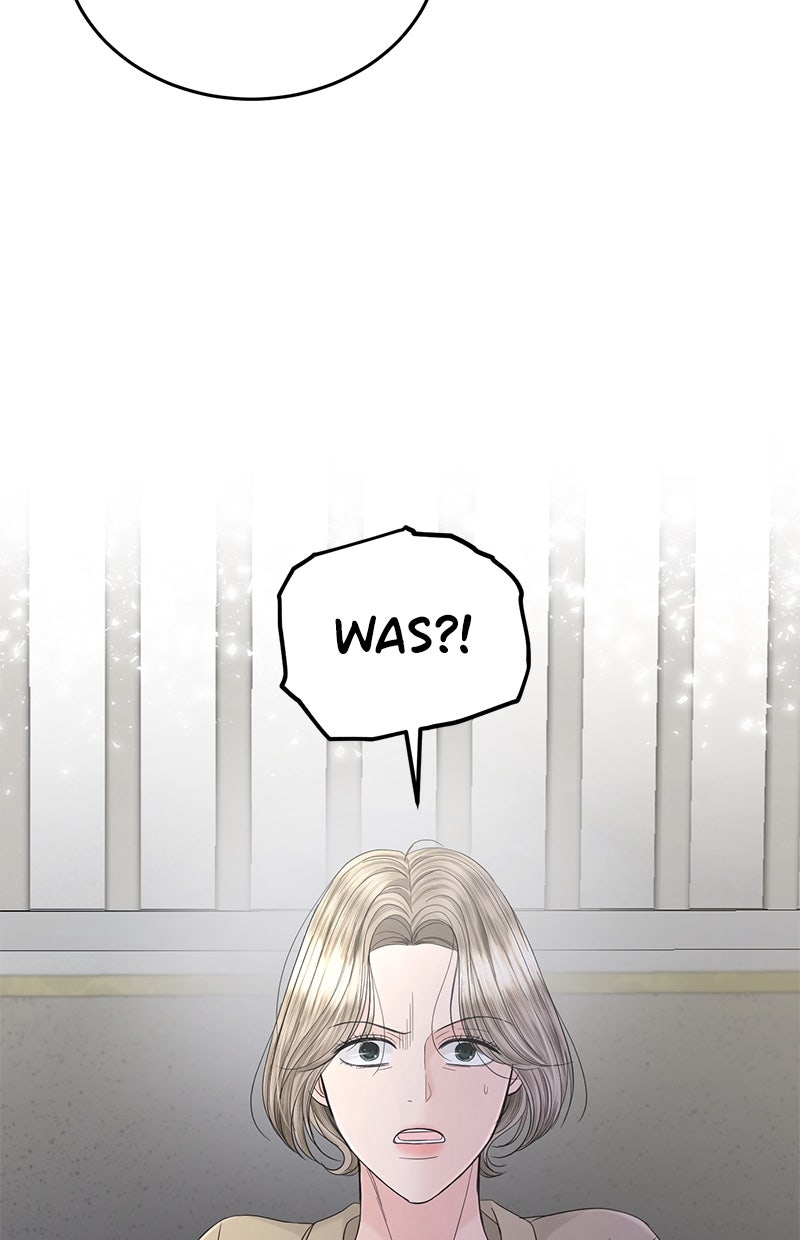 Read Perfect Marriage Revenge Manga Online