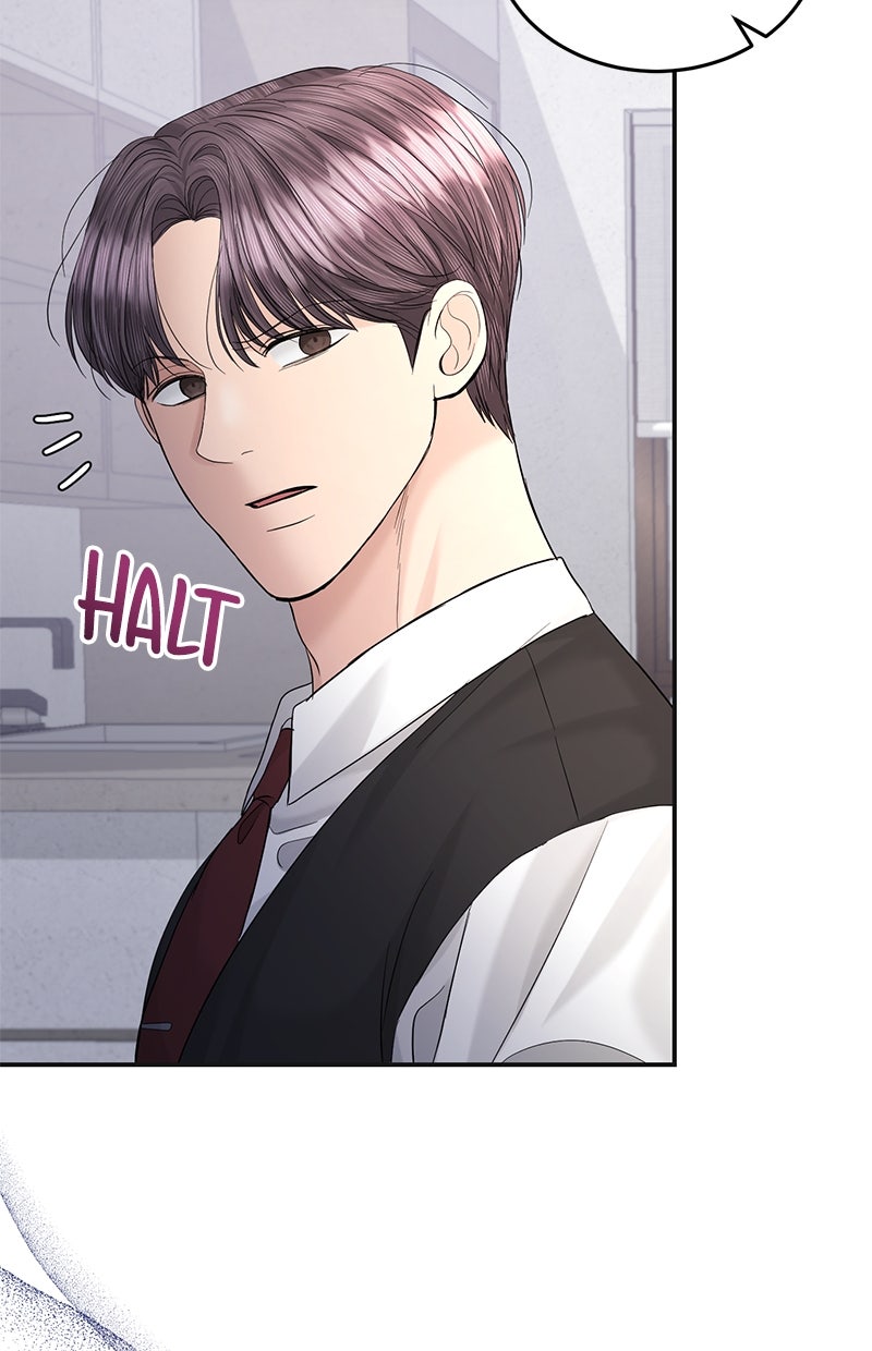 Read Perfect Marriage Revenge Manga Online