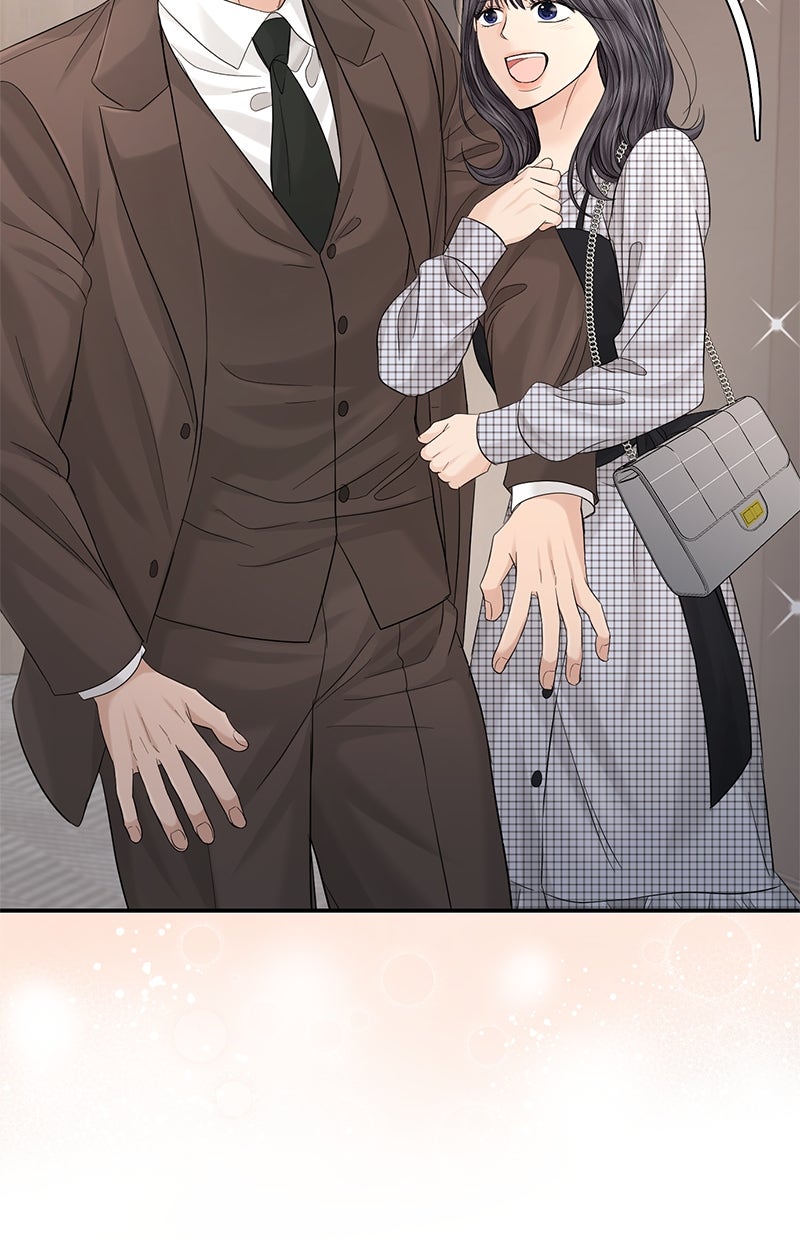 Read Perfect Marriage Revenge Manga Online