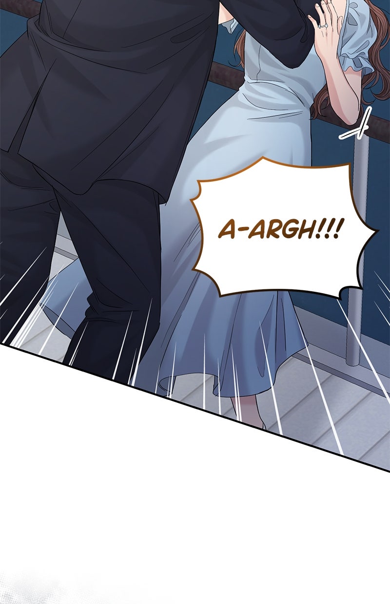 Read Perfect Marriage Revenge Manga Online