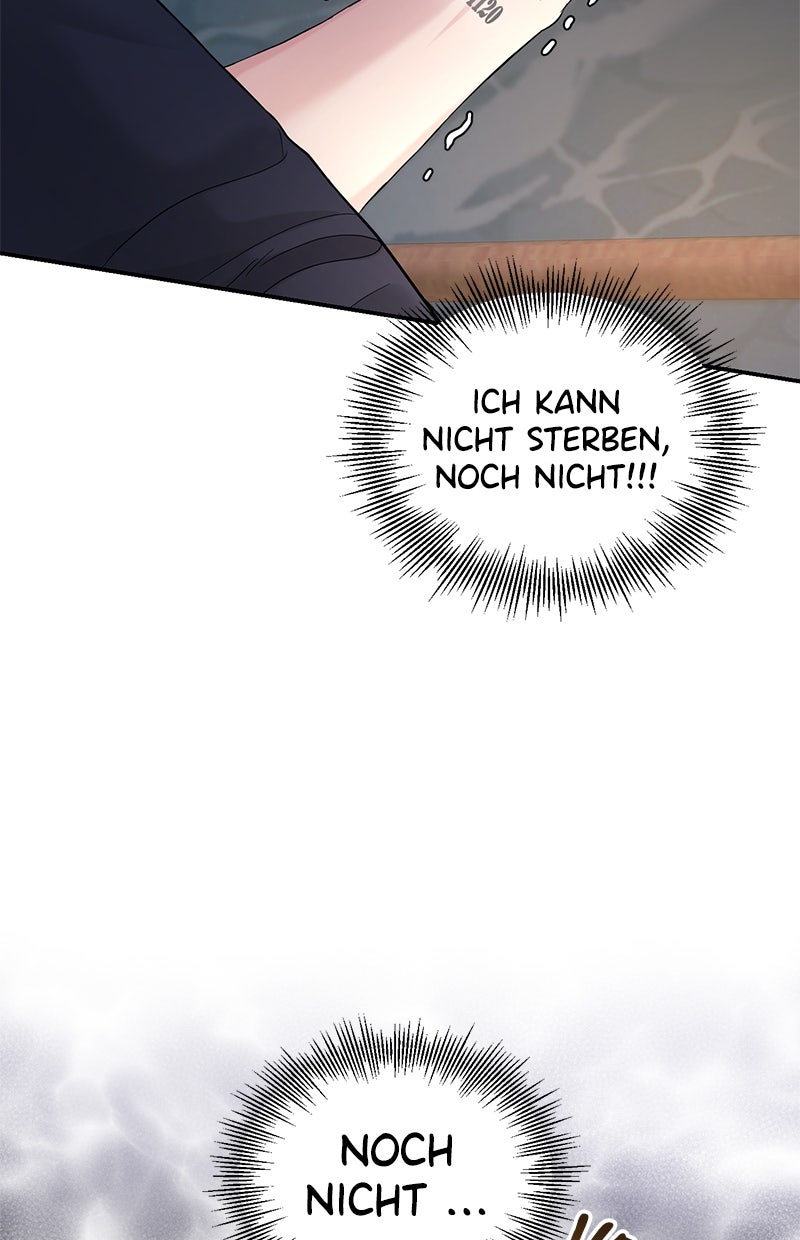 Read Perfect Marriage Revenge Manga Online