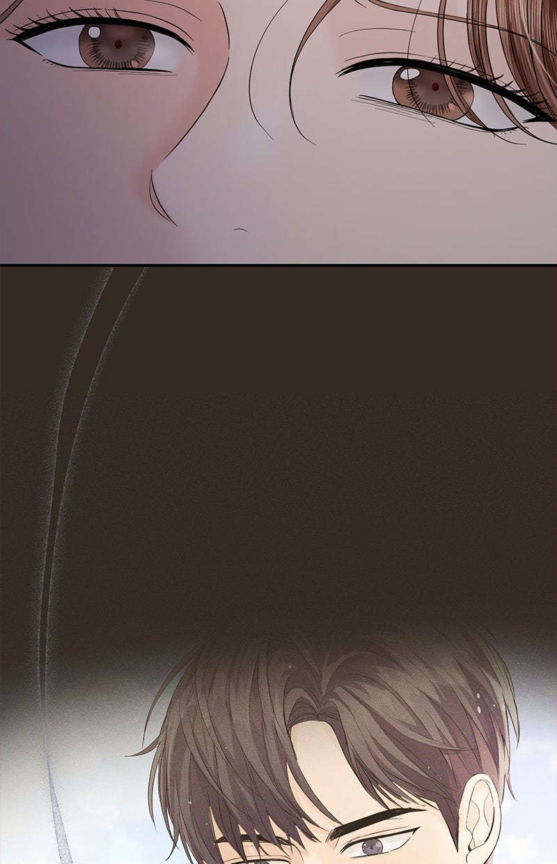 Read Perfect Marriage Revenge Manga Online