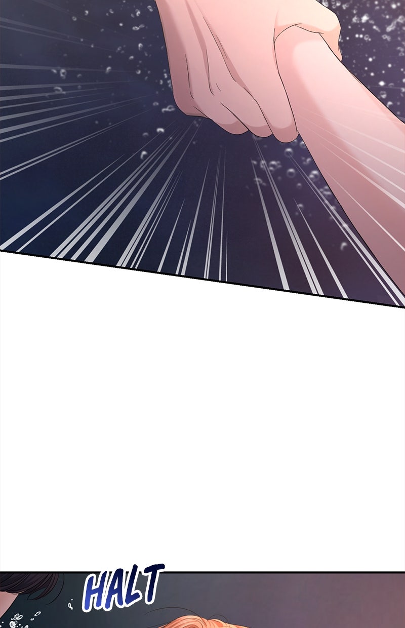 Read Perfect Marriage Revenge Manga Online