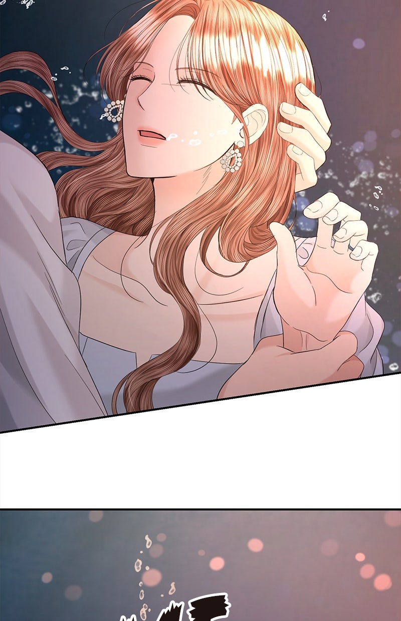 Read Perfect Marriage Revenge Manga Online