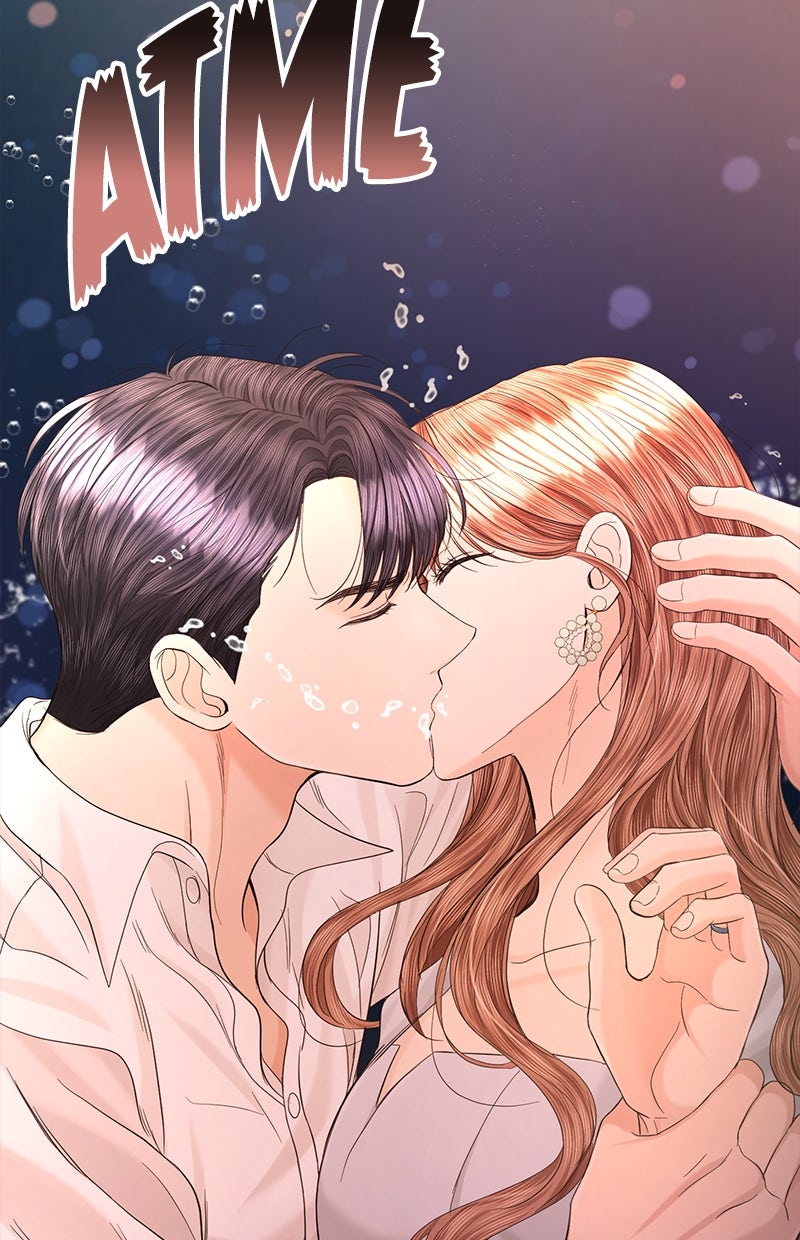 Read Perfect Marriage Revenge Manga Online