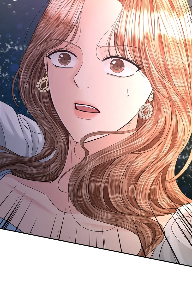 Read Perfect Marriage Revenge Manga Online