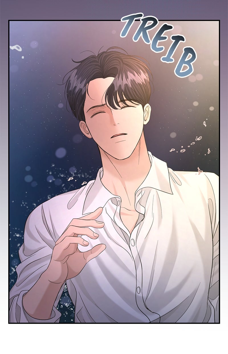 Read Perfect Marriage Revenge Manga Online