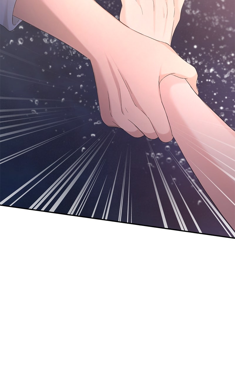 Read Perfect Marriage Revenge Manga Online