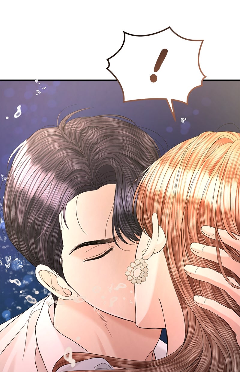 Read Perfect Marriage Revenge Manga Online