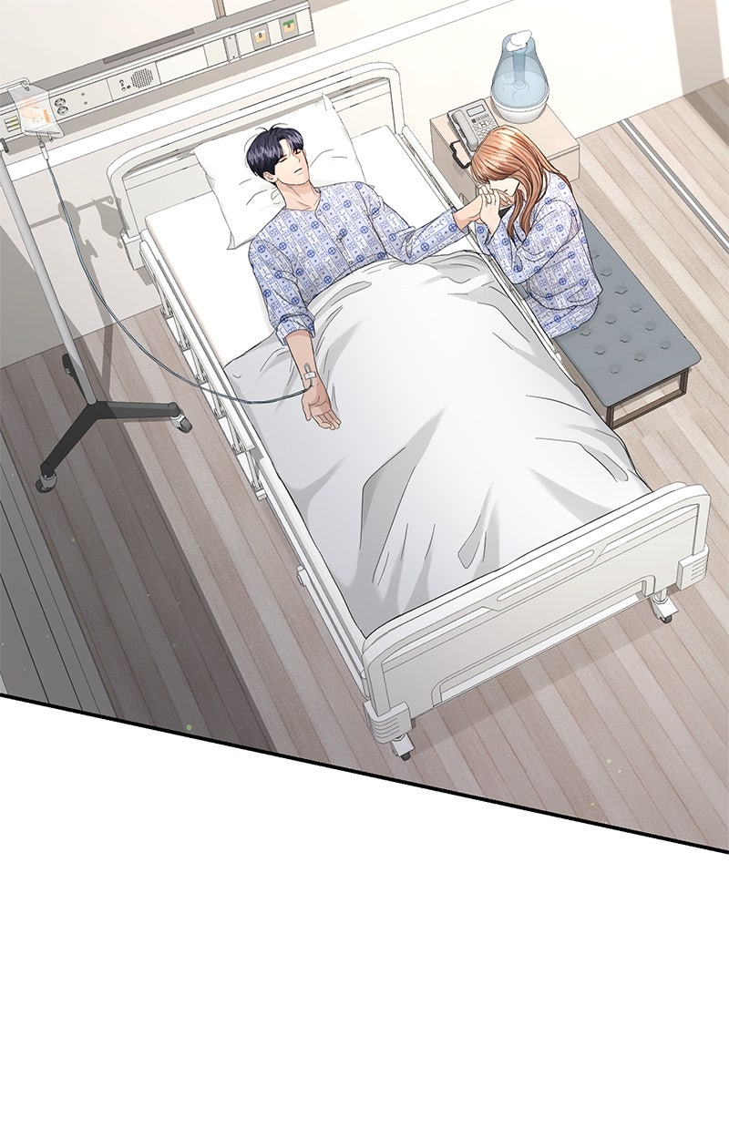 Read Perfect Marriage Revenge Manga Online