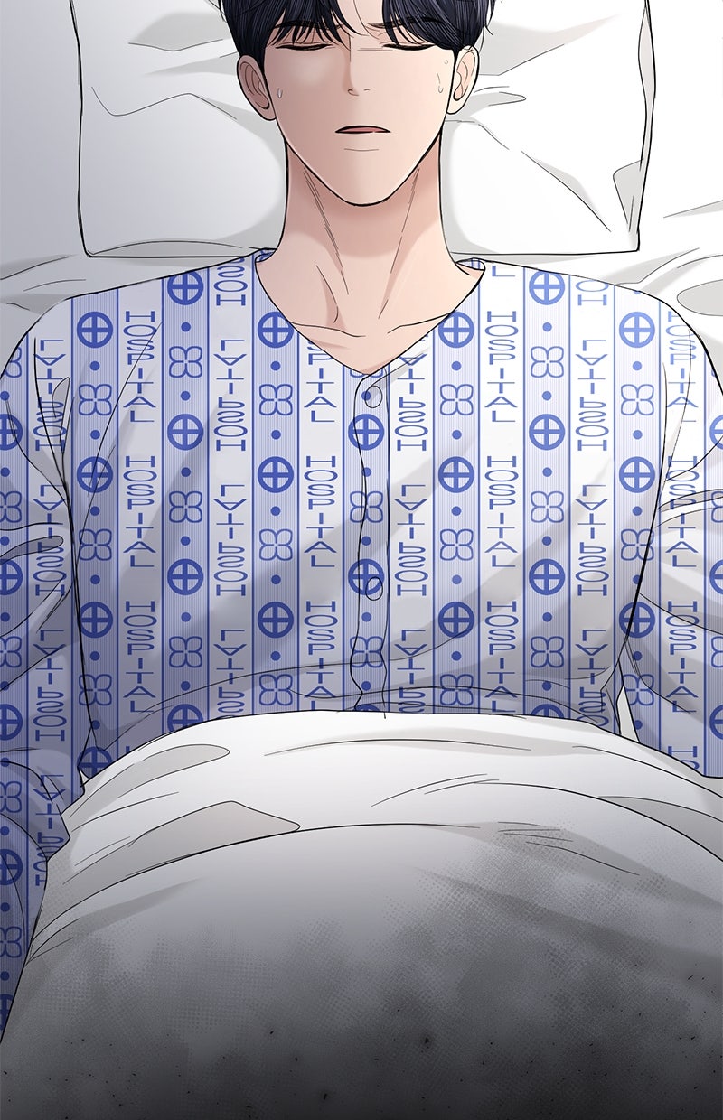 Read Perfect Marriage Revenge Manga Online