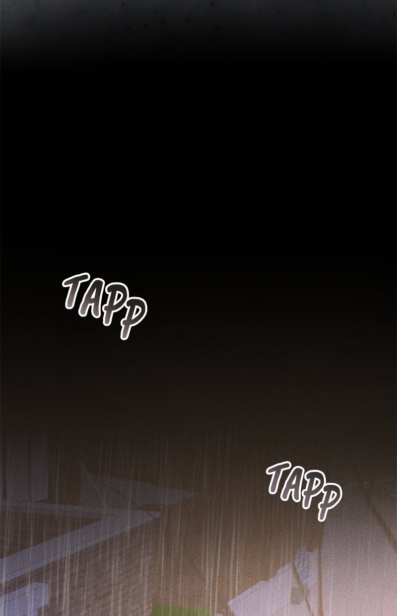 Read Perfect Marriage Revenge Manga Online