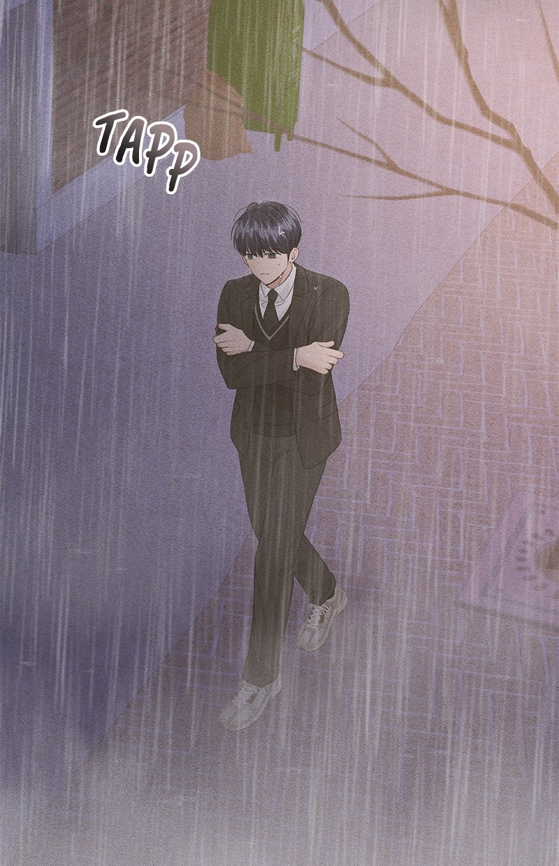 Read Perfect Marriage Revenge Manga Online