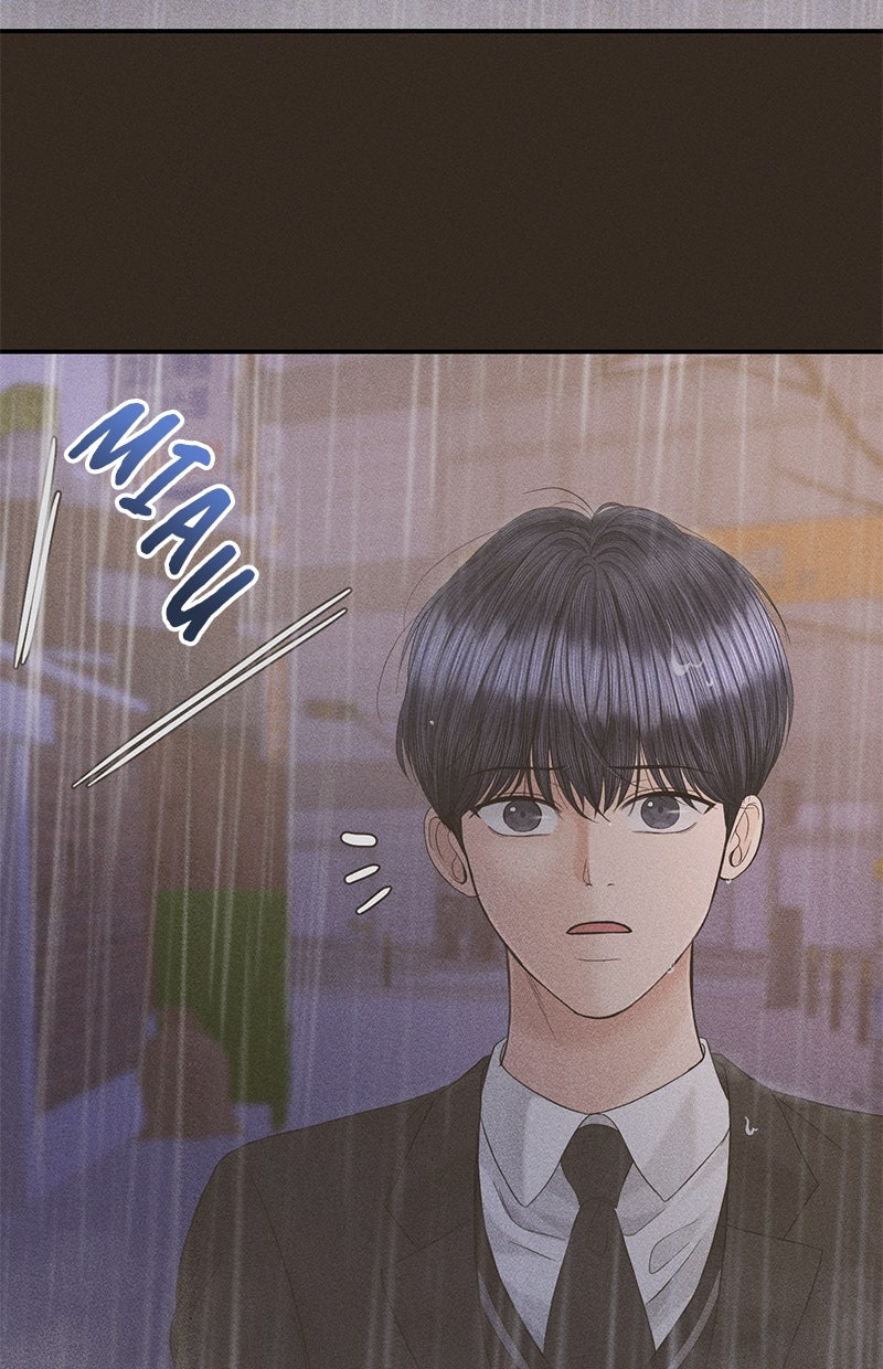 Read Perfect Marriage Revenge Manga Online