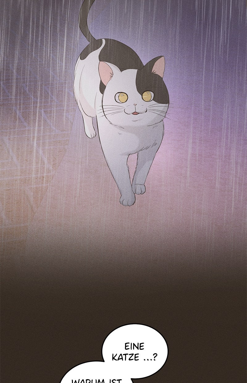 Read Perfect Marriage Revenge Manga Online