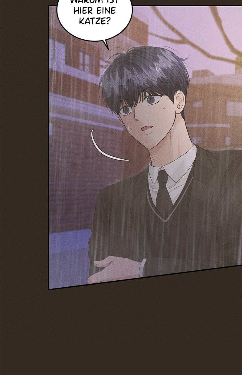 Read Perfect Marriage Revenge Manga Online