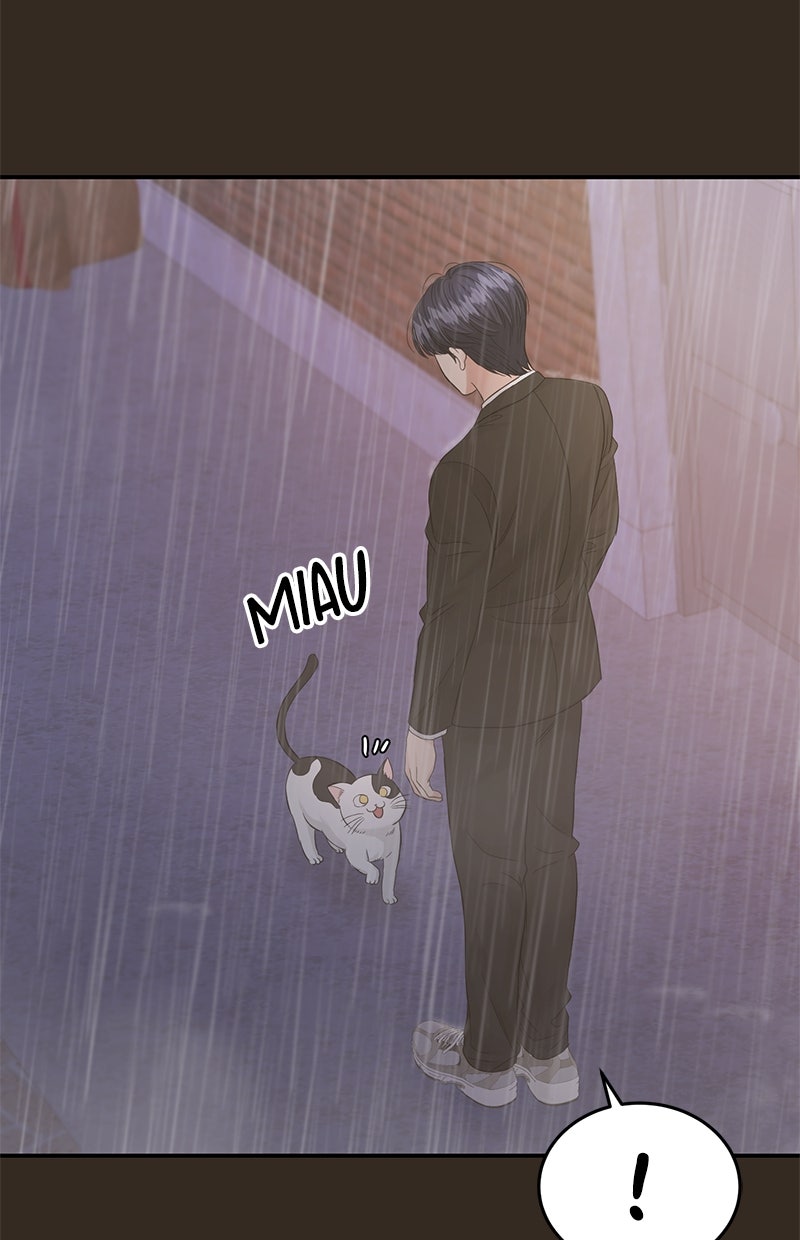 Read Perfect Marriage Revenge Manga Online