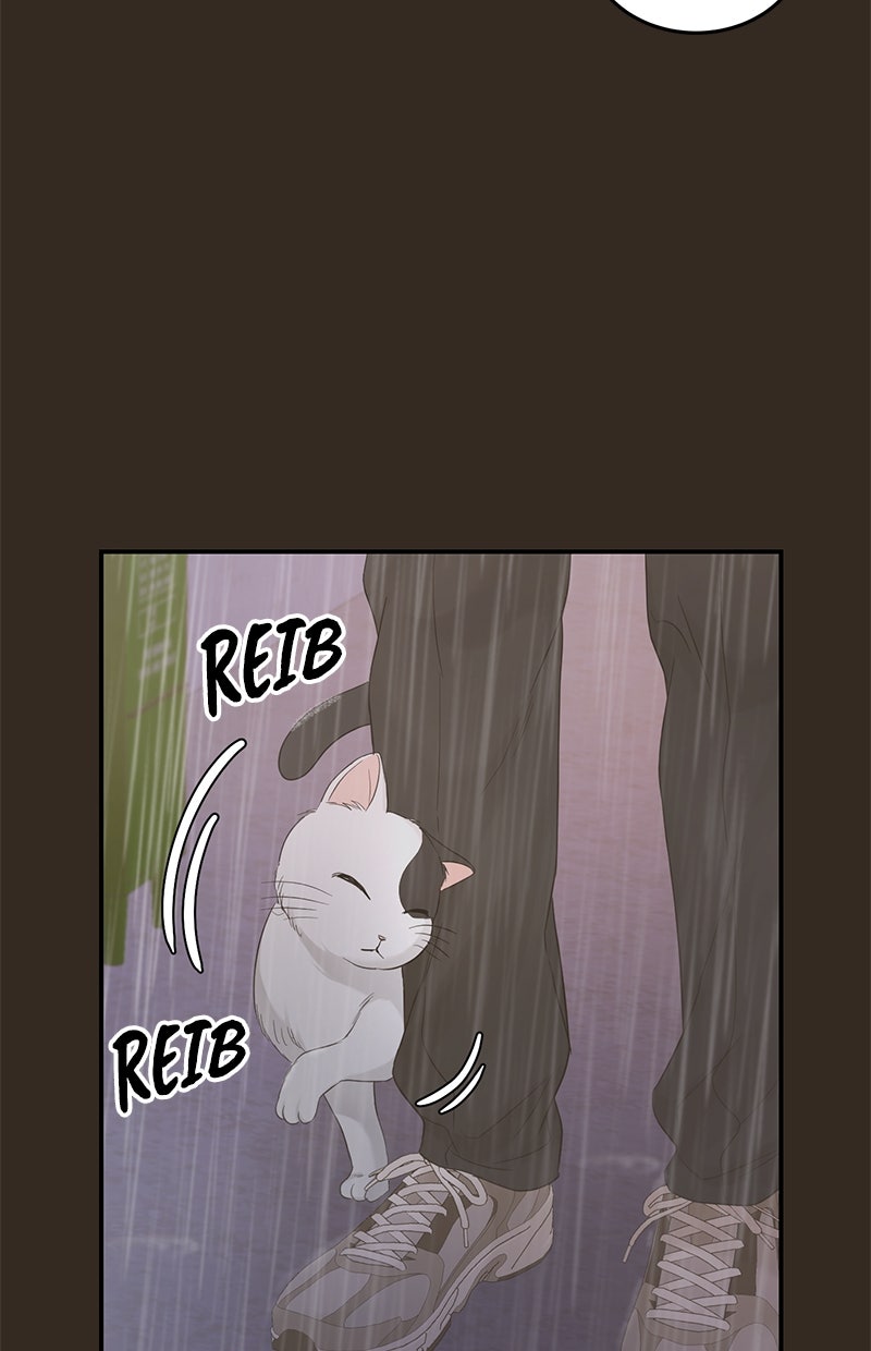 Read Perfect Marriage Revenge Manga Online