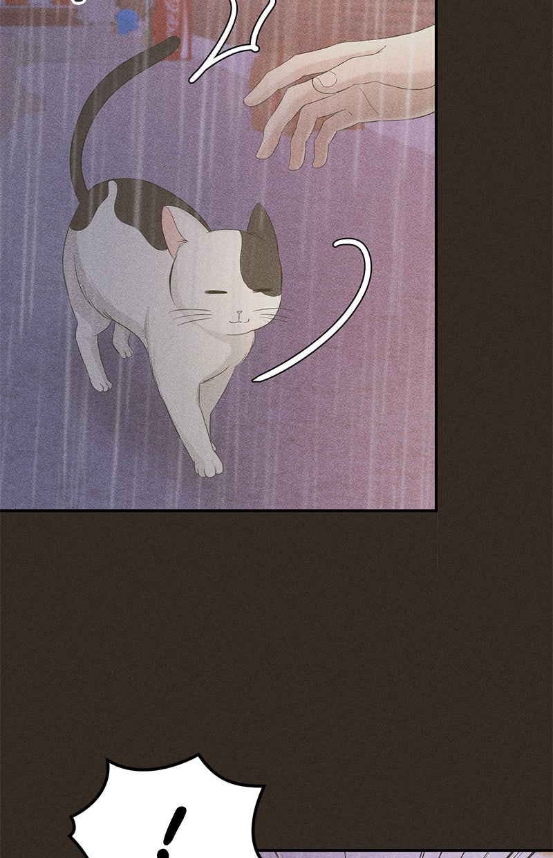 Read Perfect Marriage Revenge Manga Online