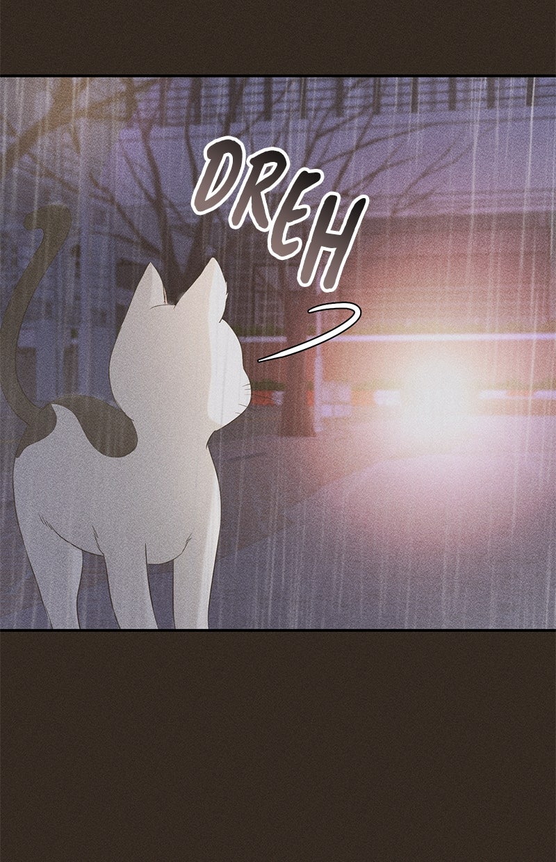 Read Perfect Marriage Revenge Manga Online