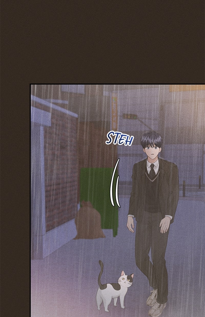 Read Perfect Marriage Revenge Manga Online