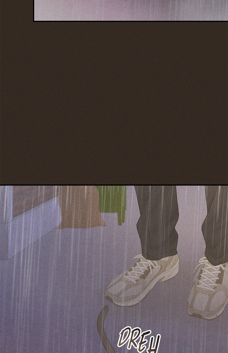 Read Perfect Marriage Revenge Manga Online