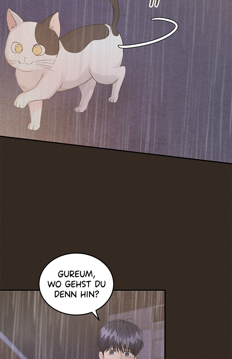 Read Perfect Marriage Revenge Manga Online